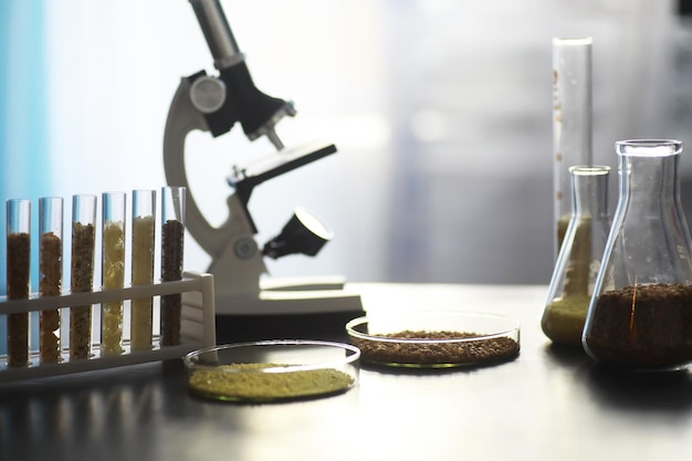 Research Analyzing Agricultural Grains And seeds In The Laboratory Test tubes with seeds of selection plants