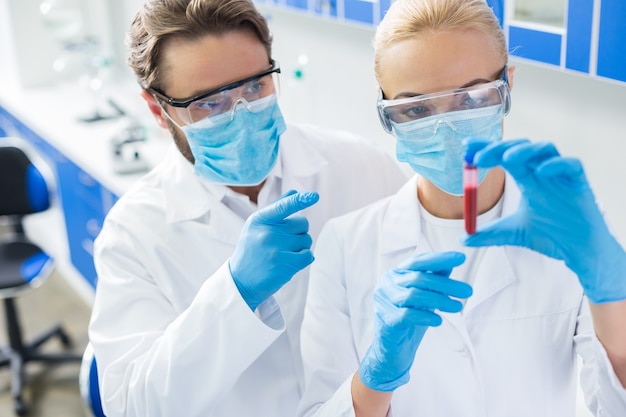 Research material. Nice positive intelligent biologists standing together and pointing at the blood sample while studying it