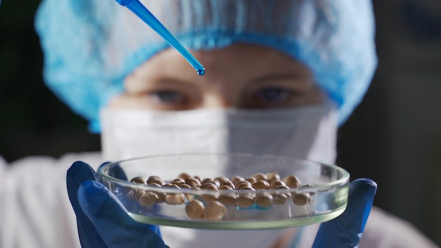 The researcher conducts a genetic experiment  treats plant seeds with chemical reagents