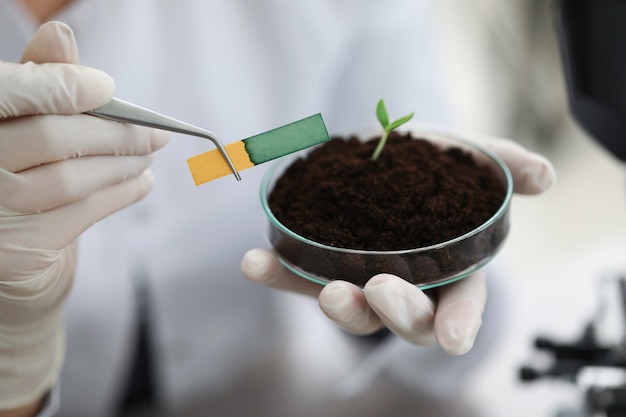 Il ricercatore tiene una fiaschetta di vetro a stelo piccolo con terreno con striscia reattiva ph