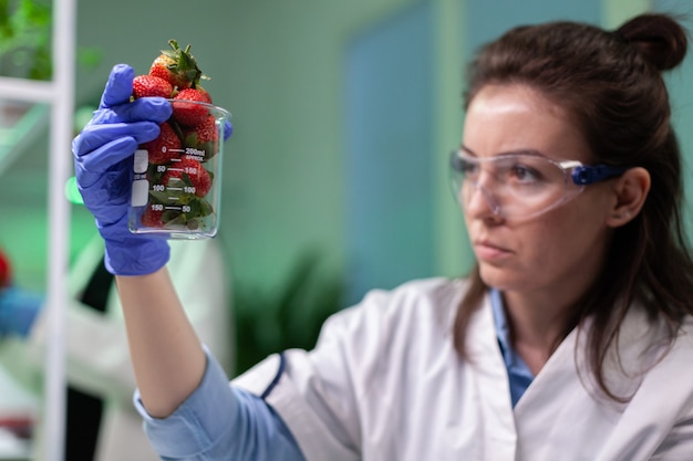 Gmo 식물학 실험에서 일하는 유기농 딸기를 들고 있는 연구원 여성 의사
