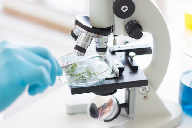 Researchers wearing rubber gloves are using pliers and microscopes to examine medicinal plants in their research to produce medicines and nutritional supplements.