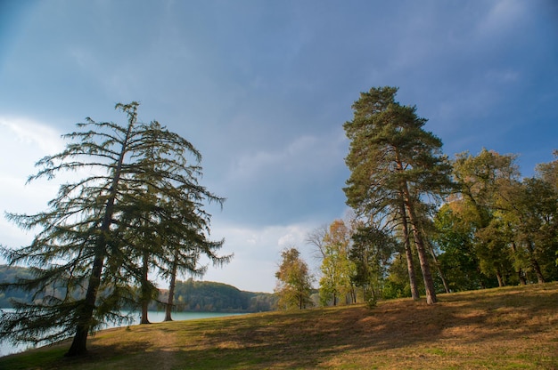 Reserve Kachanivka Chernigov regio Oekraïne