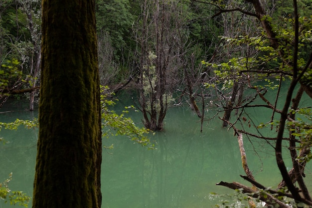 The reservoir Lake Vanganel