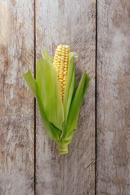 resh corn cobs on background