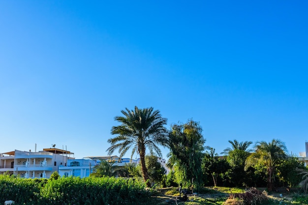 Residential buildings on a bank of the Nile river in Luxor Egypt