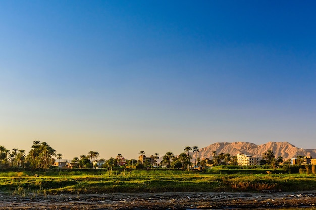 Residential buildings on a bank of the Nile river in Luxor Egypt