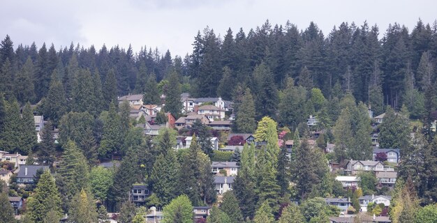 Residential homes on a mountain in suburban neighborhood