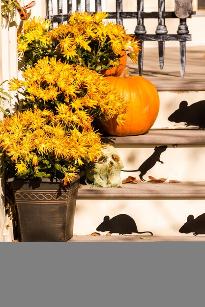 Residential house decorated for Halloween holiday.