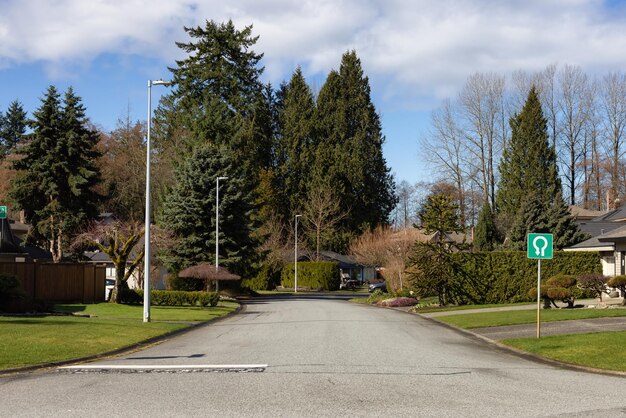 Residential neighborhood Street in Modern City Suburbs