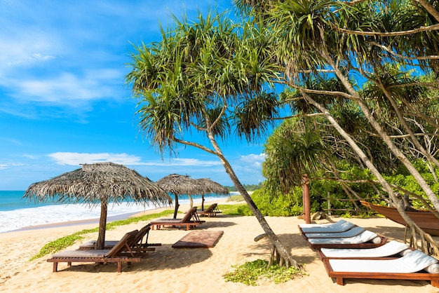 Resort strandzicht ligbedden en parasols aan de tropische kust van Sri Lank