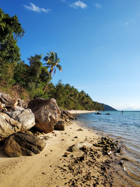 Resort on a tropical island in the ocean. Palm trees on the beach. Clear water. Dream vacation