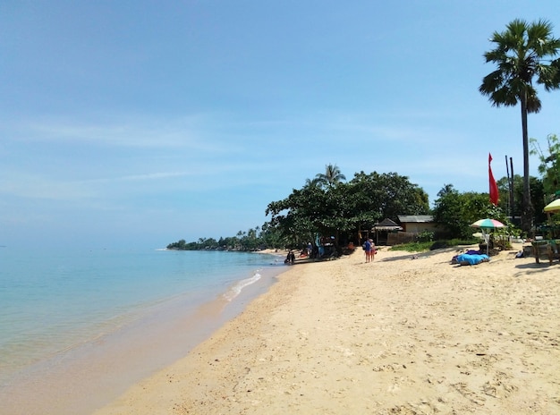 Resort on a tropical island in the ocean. Palm trees on the beach. Clear water. Dream vacation.