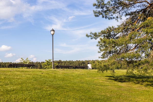 写真 都市公園の休憩ベンチと昔ながらのランプ