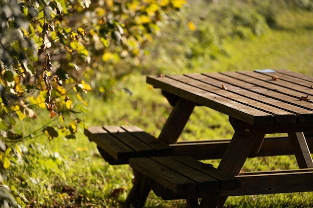 Rest place in park picnic table in peaceful surrounding