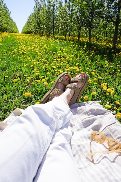 Rest in the summer park Vertically Blossoming apple orchard in spring