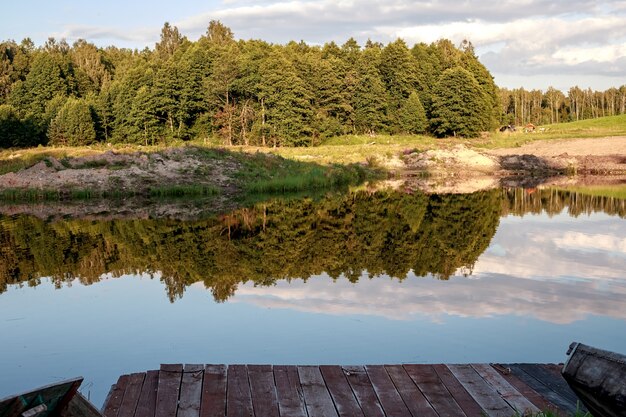 Rest zone. Blue water in a forest lake with pine trees. The forest is reflected in the water.