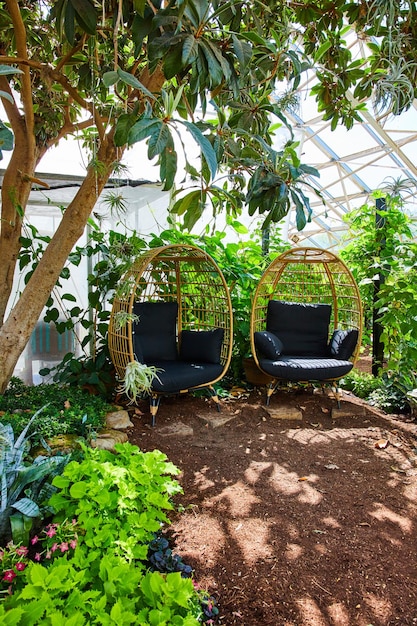 Resting spot of two chairs surrounded by gardens in greenhouse