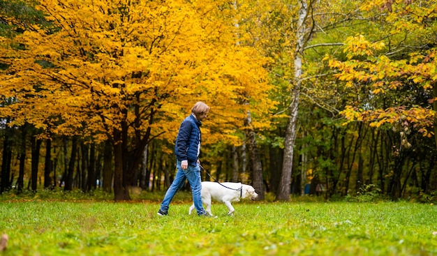 Retriever and and owner man are running in park Golden leaves on trees Fabuluos autumn Best friend forever concept