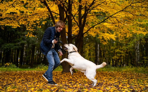 Retriver dog plays with owner in an autumn golden park Handsome man with beautiful dog outdoors in autumn time