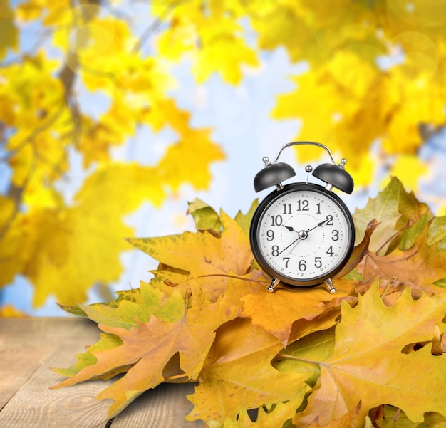 Retro alarm clock on wooden background with leaves