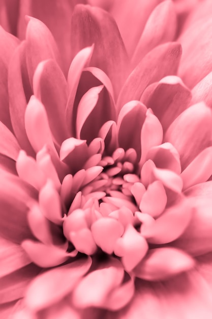 レトロアートヴィンテージカードと植物の概念抽象的な花の背景ピンク菊の花