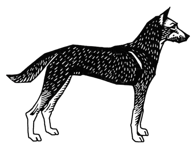レトロの黒い犬のステッカー png 手描き