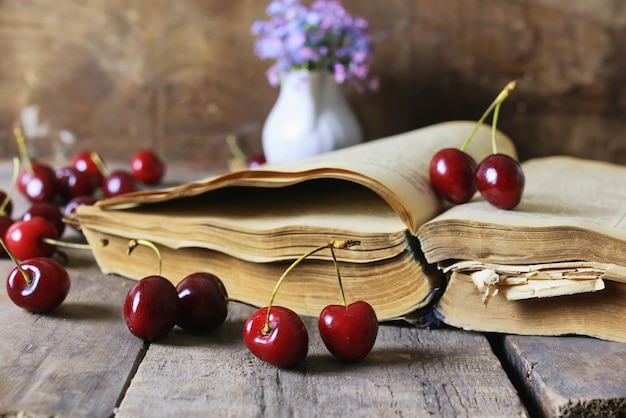 Retro book and cherry berry