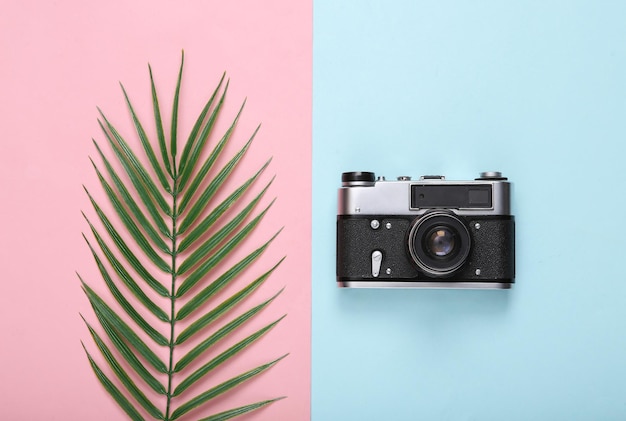 Retro camera and palm leaf on pink blue background Tropical travel layout Top view Flat lay