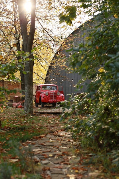 秋の公園でレトロな車