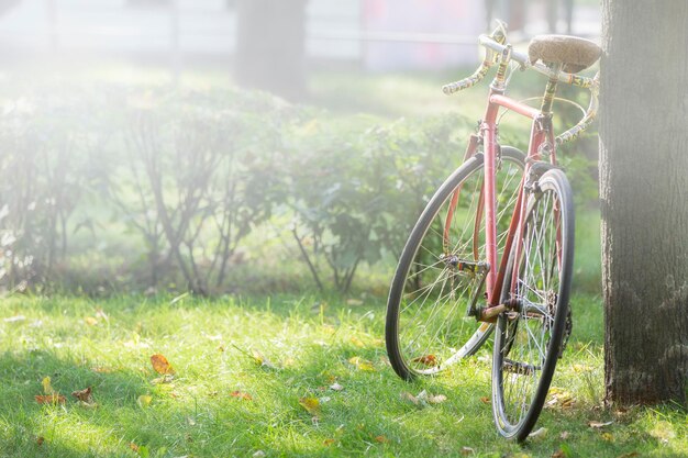 Retro fiets op mistige ochtend op groen gras