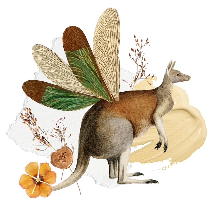 Photo retro kangaroo collage sticker png animal scrapbook paper clip art