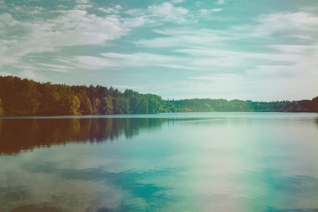 Retro natuurfoto van bloem