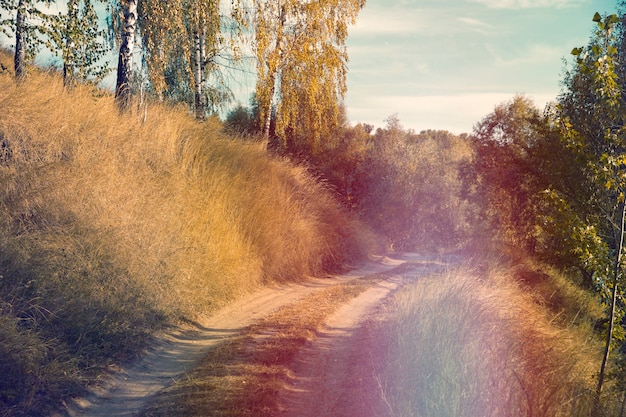 Foto retro natuurfoto van bloem