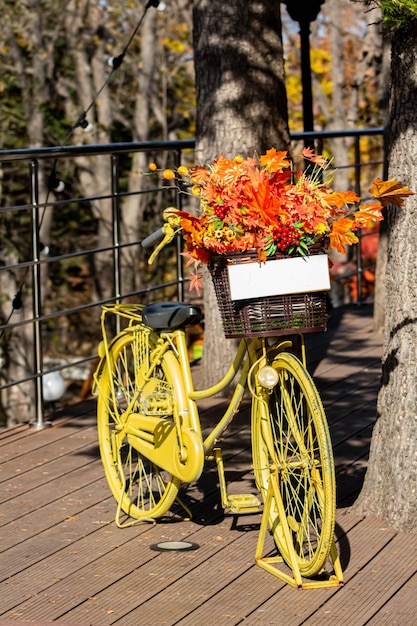 Retro style bicycle with basket with orange and yellow leaves, parked in park