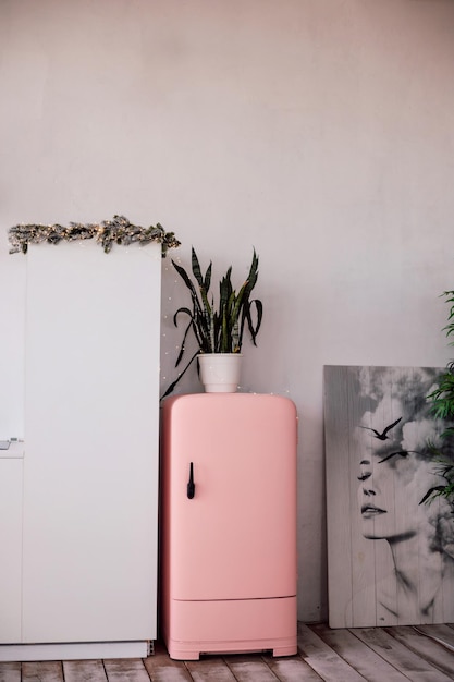 Retro style pink fridge in the kitchen Kitchen interior