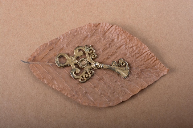 枯れ葉の上に置かれたレトロなスタイルの鍵