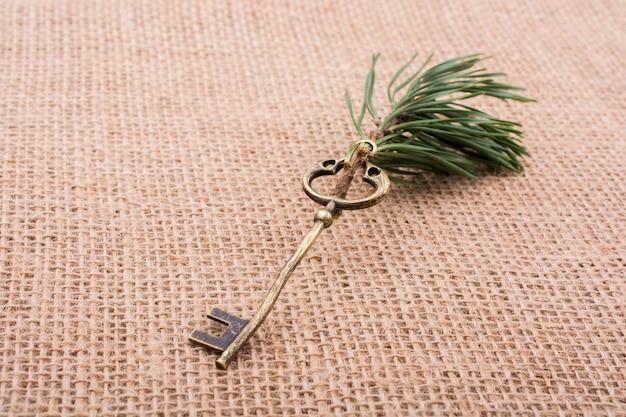 Retro styled key with green leaves in view