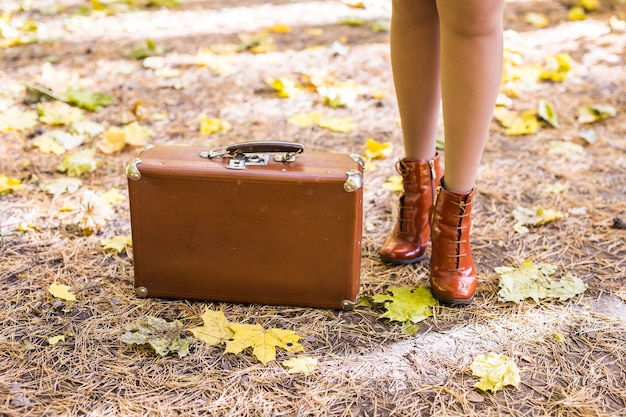 Retro suitcase standing on fallen leaves in autumn park