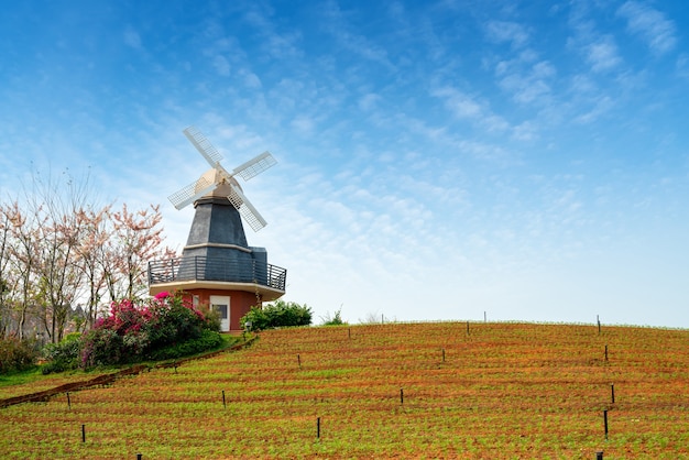 Retro windmill in Hainan Island, China