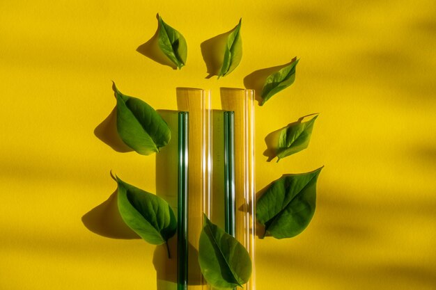 Reusable glass straws on colorful background with green leafs eco-friendly drinking straw set