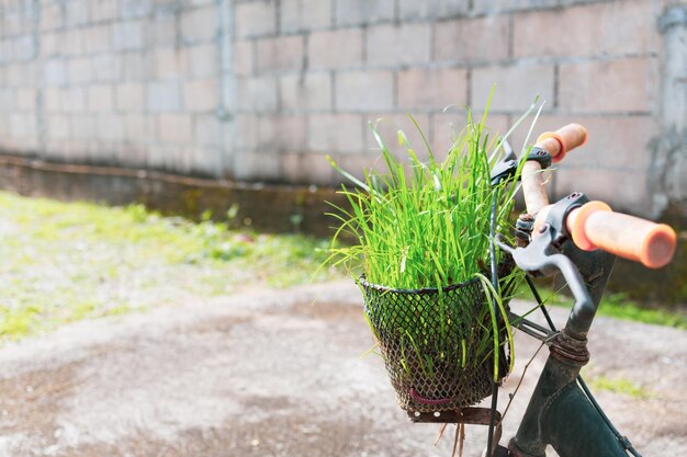 재활용 정원 디자인 아이디어와 오래된 자전거의 화원 장식 재활용 정원 에코 세이빙