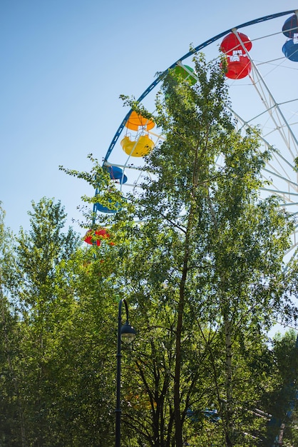 Foto reuzenrad in het park op een zonnige zomerdag