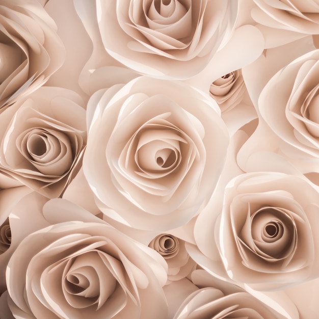 Reyto rose flower background