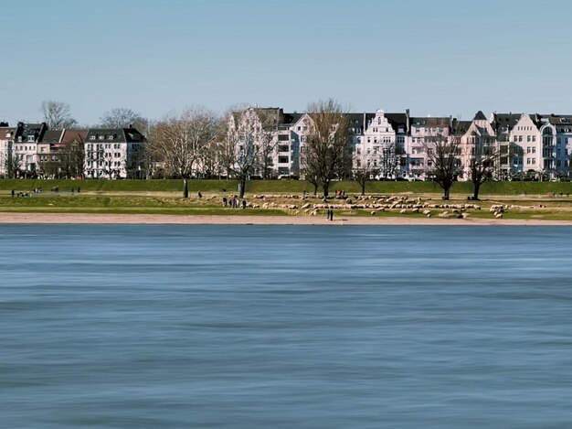 Rheinpromenade dusseldorf