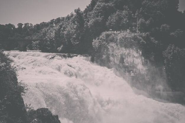 The Rhine Falls is the largest waterfall in Europe in Schaffhausen, Switzerland. Summer landscape, sunshine weather, blue sky and sunny day