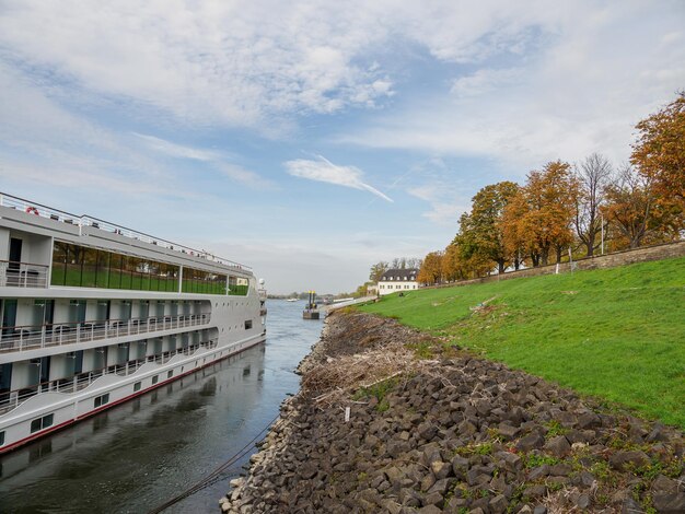 Photo the rhine river