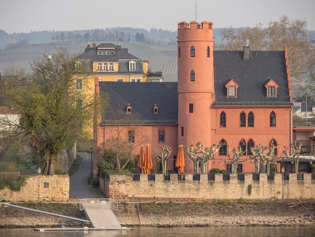 Photo at the rhine river