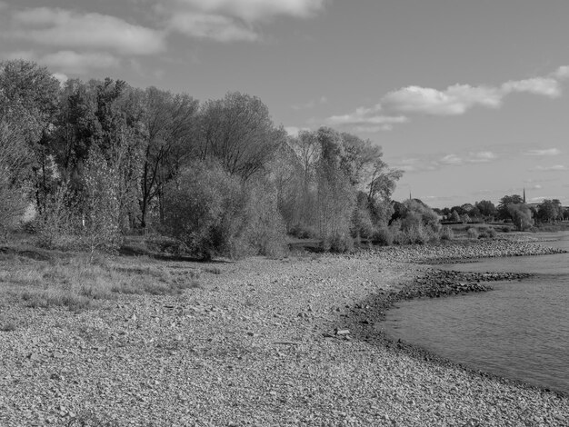 rhine river