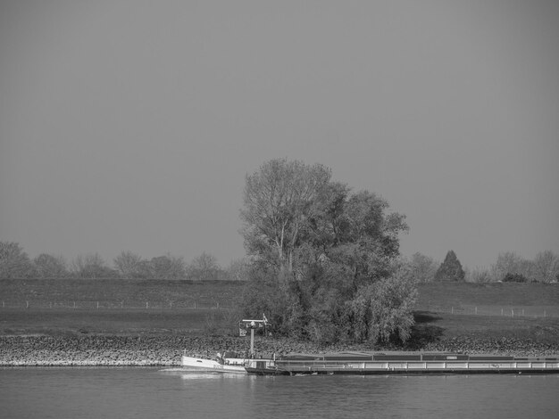 the rhine river